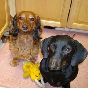 Meet your Posher, Emma